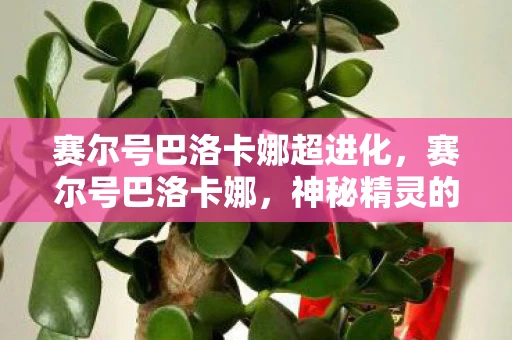 赛尔号巴洛卡娜超进化，赛尔号巴洛卡娜，神秘精灵的传奇故事