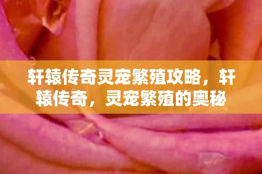 轩辕传奇灵宠繁殖攻略，轩辕传奇，灵宠繁殖的奥秘