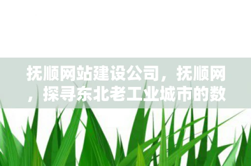 抚顺网站建设公司，抚顺网，探寻东北老工业城市的数字转型之路