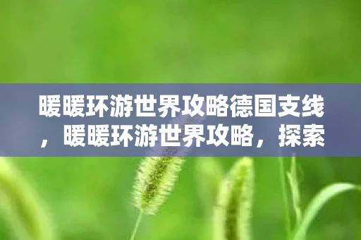 暖暖环游世界攻略德国支线，暖暖环游世界攻略，探索德国的浪漫与奇迹