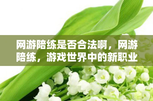 网游陪练是否合法啊，网游陪练，游戏世界中的新职业