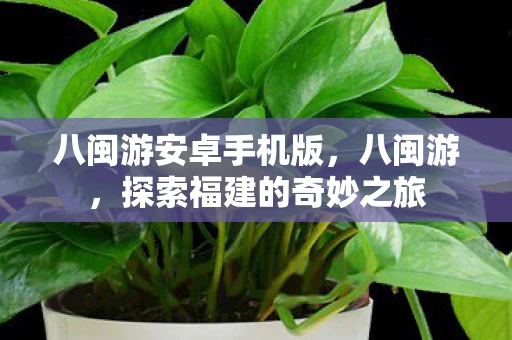 八闽游安卓手机版，八闽游，探索福建的奇妙之旅