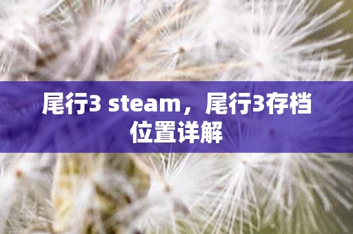 尾行3 steam，尾行3存档位置详解