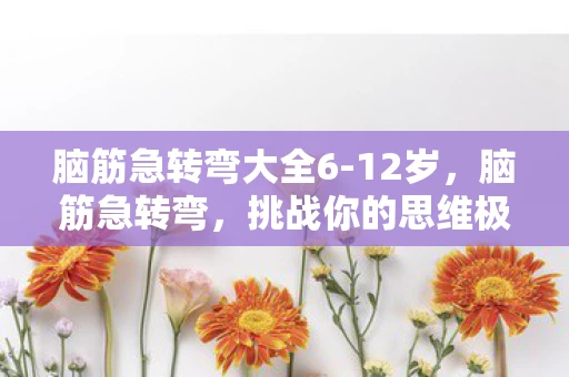 脑筋急转弯大全6-12岁，脑筋急转弯，挑战你的思维极限