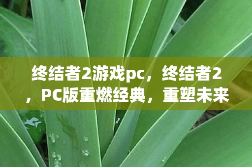 终结者2游戏pc，终结者2，PC版重燃经典，重塑未来