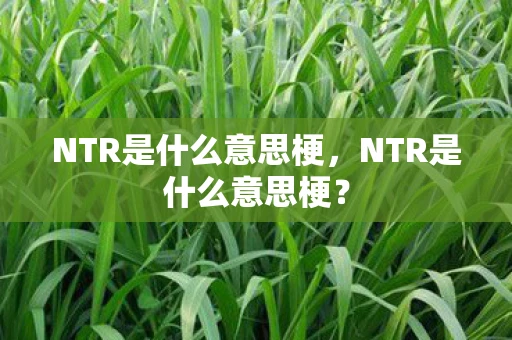 NTR是什么意思梗，NTR是什么意思梗？