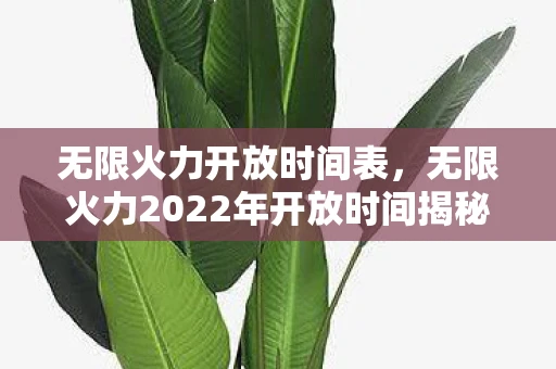 无限火力开放时间表,无限火力2022年开放时间揭秘,玩家们的狂欢盛宴即将来临! 无限火力开放时间表,无限火力2022年开放时间揭秘,玩家们的狂欢盛宴即将来临!