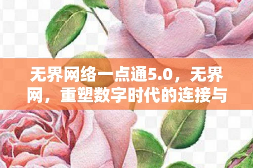 无界网络一点通5.0，无界网，重塑数字时代的连接与互动