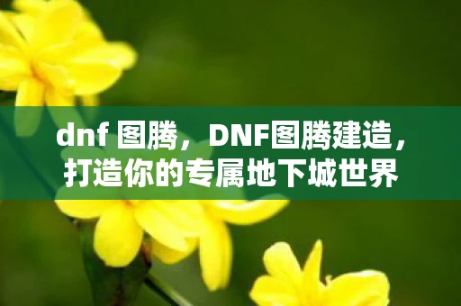 dnf 图腾，DNF图腾建造，打造你的专属地下城世界