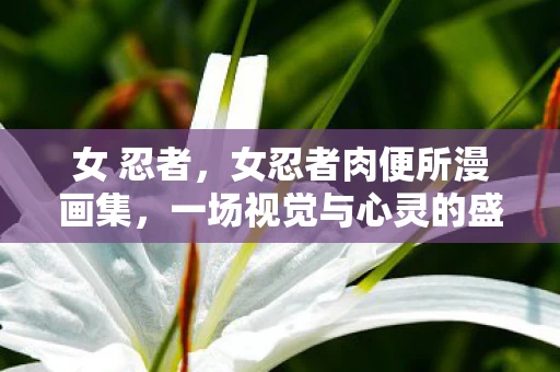 女 忍者，女忍者肉便所漫画集，一场视觉与心灵的盛宴