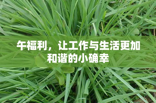 午福利，让工作与生活更加和谐的小确幸