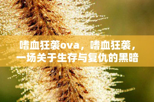 嗜血狂袭ova，嗜血狂袭，一场关于生存与复仇的黑暗之旅