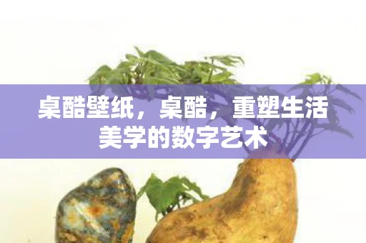 桌酷壁纸，桌酷，重塑生活美学的数字艺术