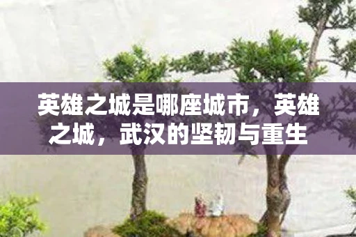 英雄之城是哪座城市，英雄之城，武汉的坚韧与重生