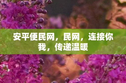 安平便民网，民网，连接你我，传递温暖