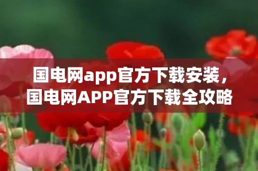 国电网app官方下载安装，国电网APP官方下载全攻略