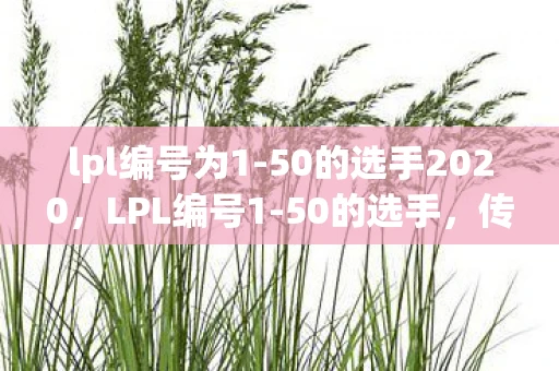 lpl编号为1-50的选手2020，LPL编号1-50的选手，传奇与荣耀的见证