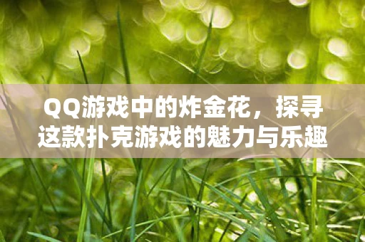 探寻这款扑克游戏的魅力与乐趣图片