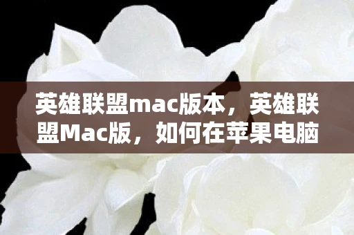 英雄联盟mac版本，英雄联盟Mac版，如何在苹果电脑上畅玩LOL