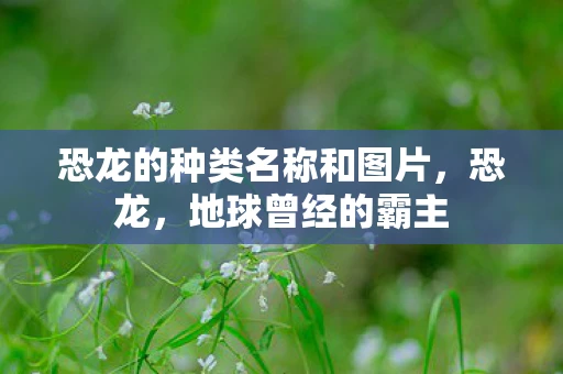 恐龙的种类名称和图片，恐龙，地球曾经的霸主