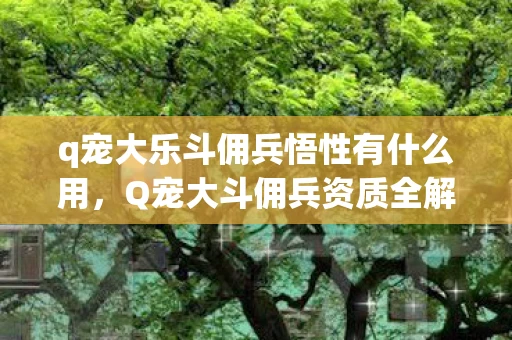 q宠大乐斗佣兵悟性有什么用，Q宠大斗佣兵资质全解析，打造最强战斗阵容