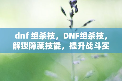 dnf 绝杀技，DNF绝杀技，解锁隐藏技能，提升战斗实力