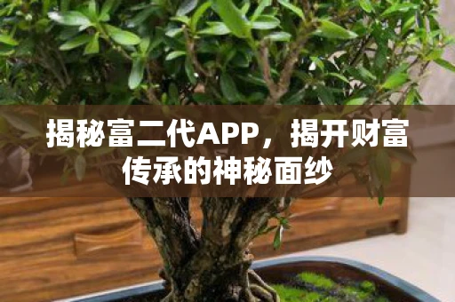 揭秘富二代APP，揭开财富传承的神秘面纱