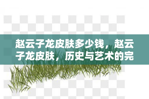 赵云子龙皮肤多少钱，赵云子龙皮肤，历史与艺术的完美结合