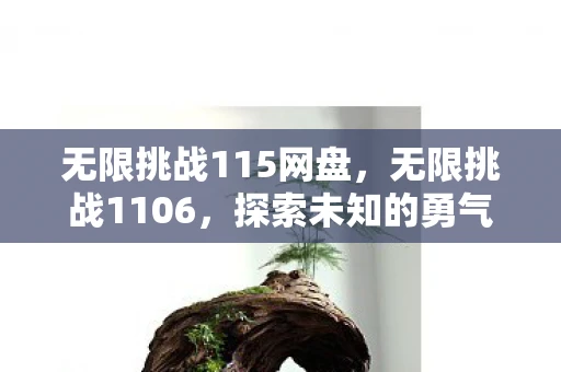 无限挑战115网盘，无限挑战1106，探索未知的勇气与决心