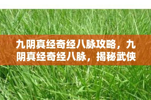 九阴真经奇经八脉攻略，九阴真经奇经八脉，揭秘武侠世界的内功心法