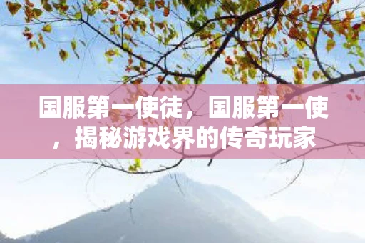 国服第一使徒，国服第一使，揭秘游戏界的传奇玩家