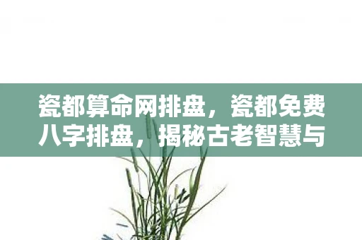 瓷都算命网排盘，瓷都免费八字排盘，揭秘古老智慧与现代科技的融合