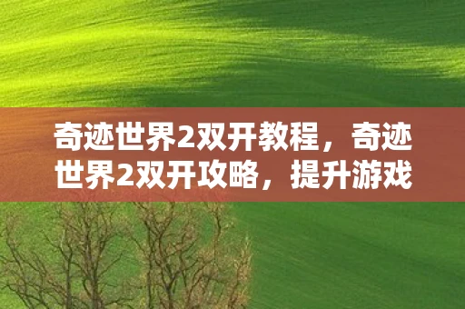 奇迹世界2双开教程，奇迹世界2双开攻略，提升游戏效率与乐趣的秘诀