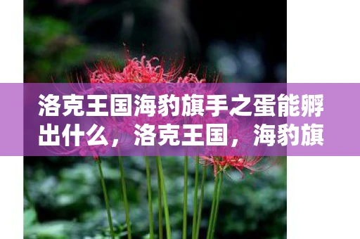 洛克王国海豹旗手之蛋能孵出什么，洛克王国，海豹旗手的传奇故事