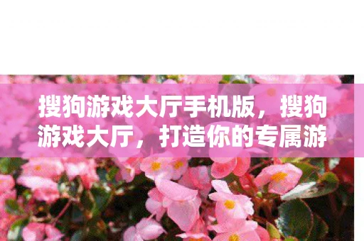 搜狗游戏大厅手机版，搜狗游戏大厅，打造你的专属游戏乐园