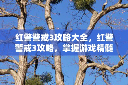 红警警戒3攻略大全，红警警戒3攻略，掌握游戏精髓，成为战略大师