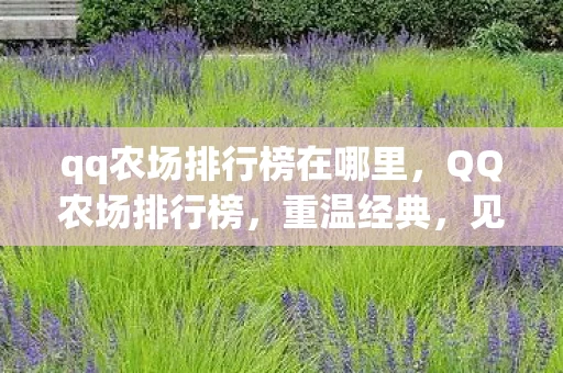 qq农场排行榜在哪里，QQ农场排行榜，重温经典，见证成长
