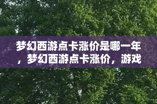 梦幻西游点卡涨价是哪一年，梦幻西游点卡涨价，游戏经济背后的秘密
