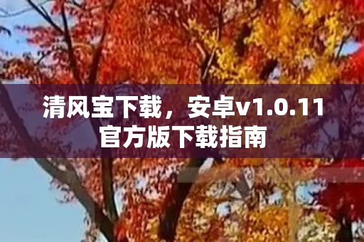 11官方版下载指南图片