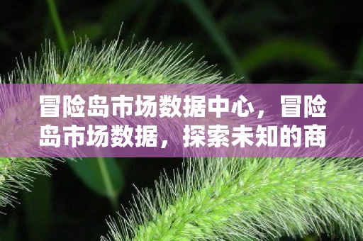 冒险岛市场数据中心，冒险岛市场数据，探索未知的商业版图