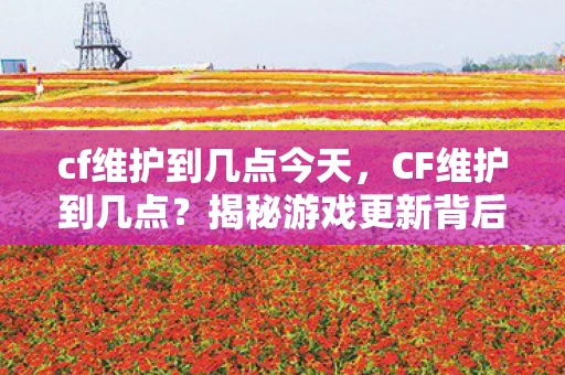 cf维护到几点今天，CF维护到几点？揭秘游戏更新背后的秘密