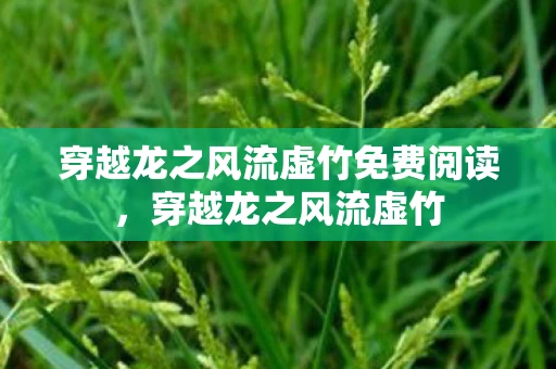 穿越龙之风流虚竹免费阅读，穿越龙之风流虚竹