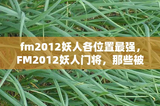 fm2012妖人各位置最强，FM2012妖人门将，那些被低估的足球守门员新星
