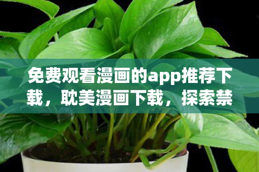 免费观看漫画的app推荐下载，耽美漫画下载，探索禁忌之美，需谨慎行事