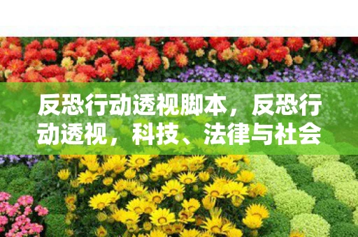 反恐行动透视脚本，反恐行动透视，科技、法律与社会的三重奏