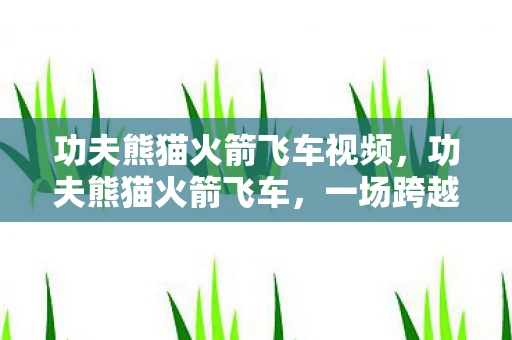 功夫熊猫火箭飞车视频，功夫熊猫火箭飞车，一场跨越时空的冒险之旅