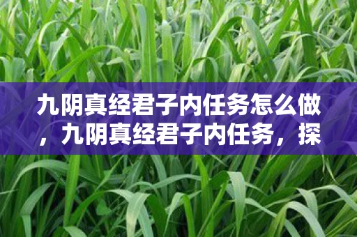 九阴真经君子内任务怎么做，九阴真经君子内任务，探寻古代武学秘籍的奥秘