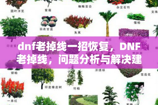 dnf老掉线一招恢复，DNF老掉线，问题分析与解决建议