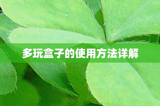 多玩盒子的使用方法详解图片