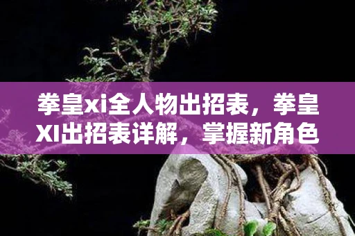 拳皇xi全人物出招表，拳皇XI出招表详解，掌握新角色的华丽技能